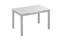 MESA BISBE EXTENSIBLE BLANCA CHASIS GRIS - 3
