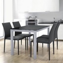 MESA CADELL FIJA 140 GRIS TAPA NEGRA - 2