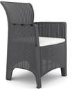 Sillón ILEÓN, polipropileno antracita, cojín beige